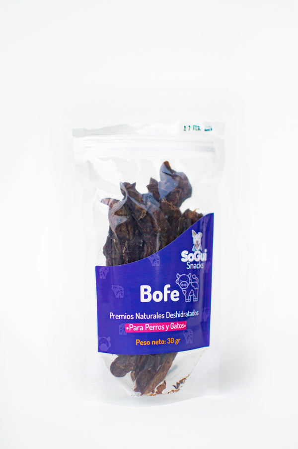 BOFE