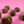 Cargar imagen en el visor de la galería, RES AL HORNO. 1 KG
